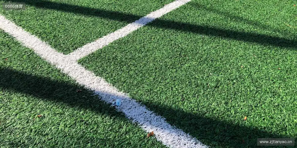 激情碰撞，瞬间点燃！⚽️🏀 锁定我们，见证每一个改写历史的时刻！